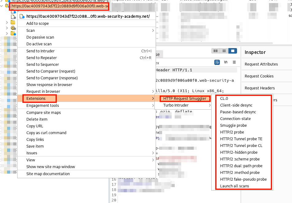 HTTP Request Smuggler